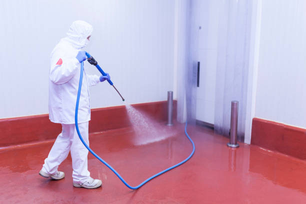 Reliable Shallowater, TX Pressure Washing Solutions